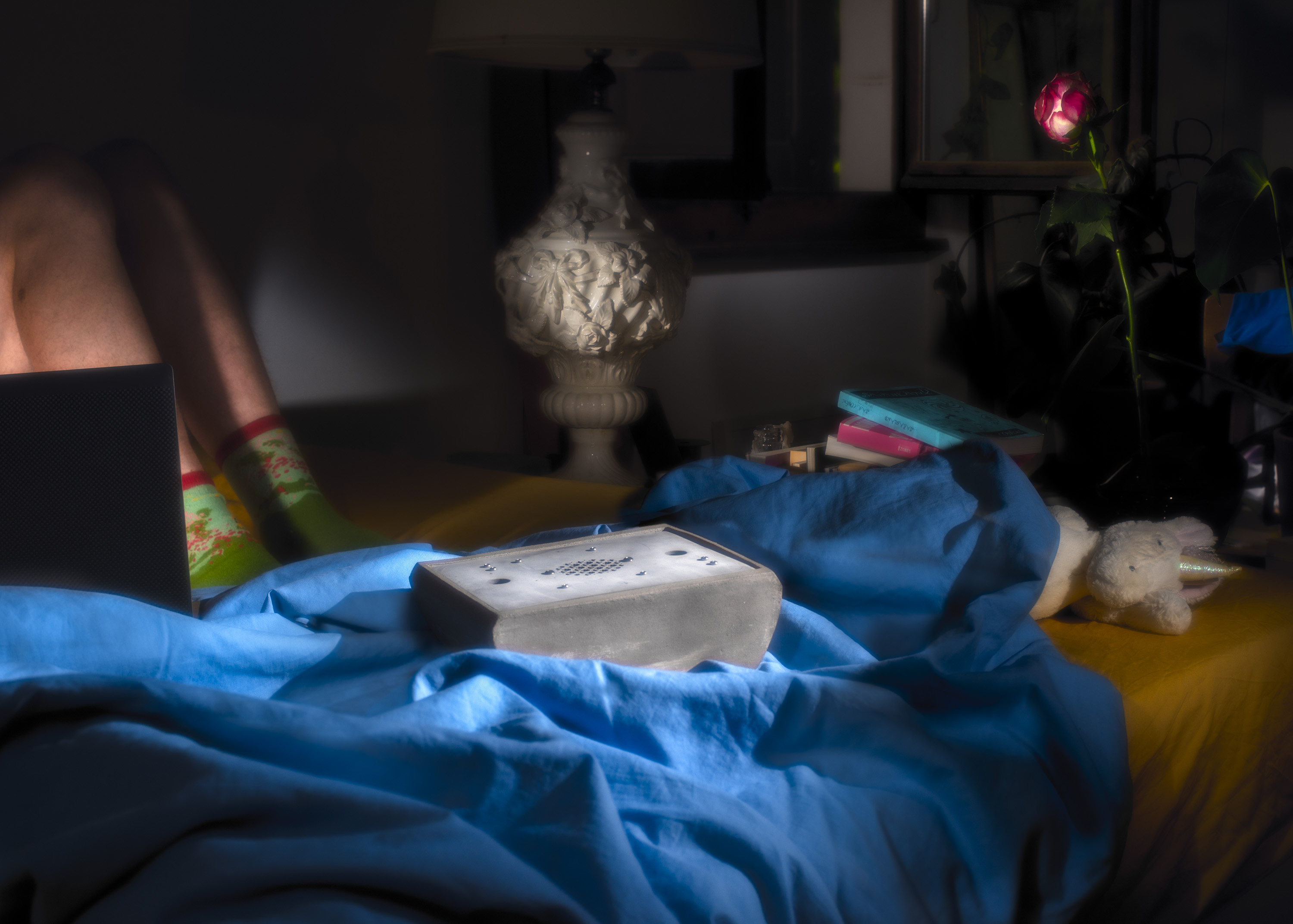 Red Book. Latent Intimacies (2015)