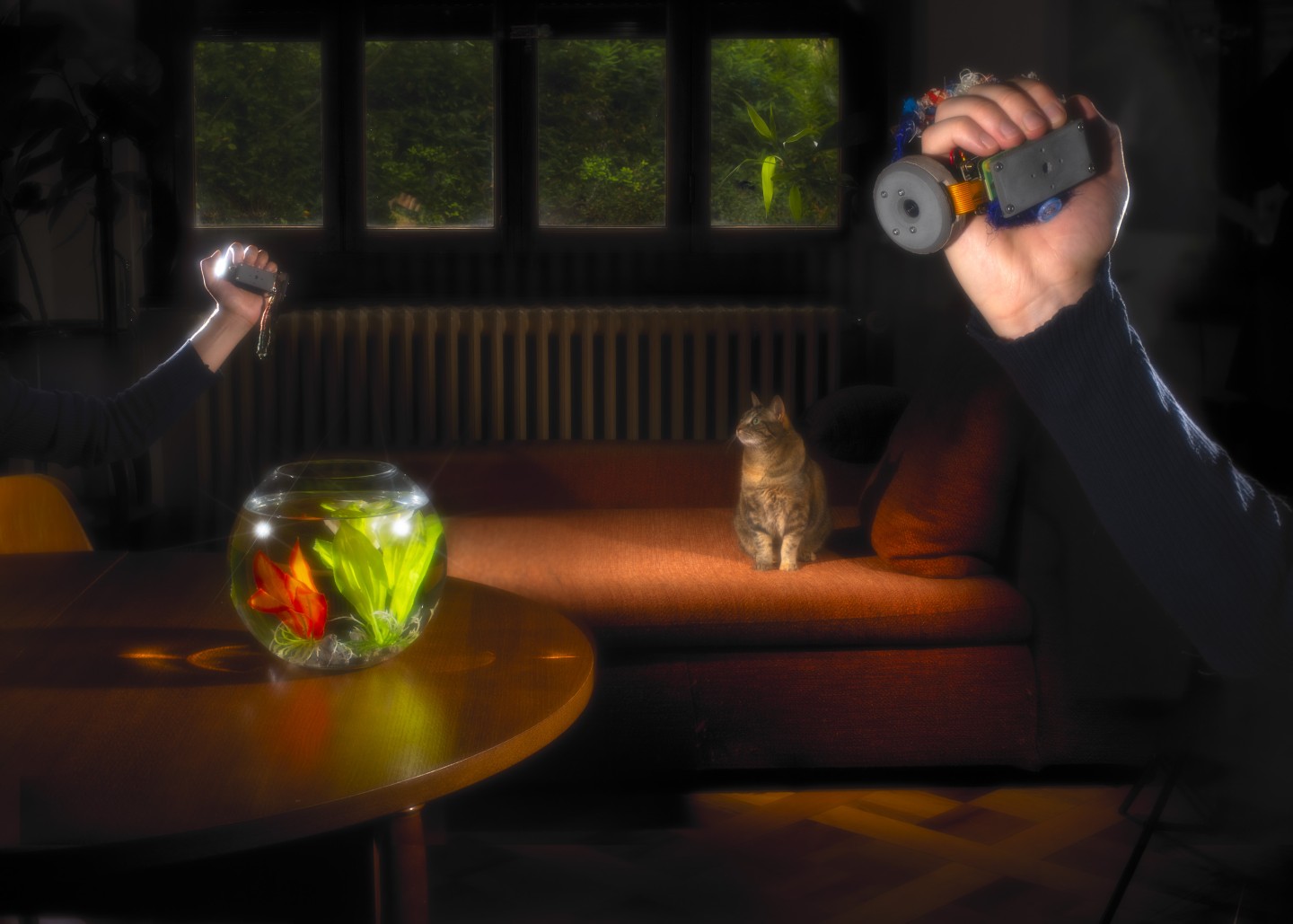 Cats. Latent Intimacies (2025)